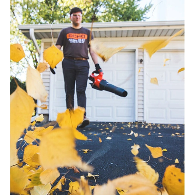 Vendita online Soffiatore Echo DBP-2500 solo corpo macchina